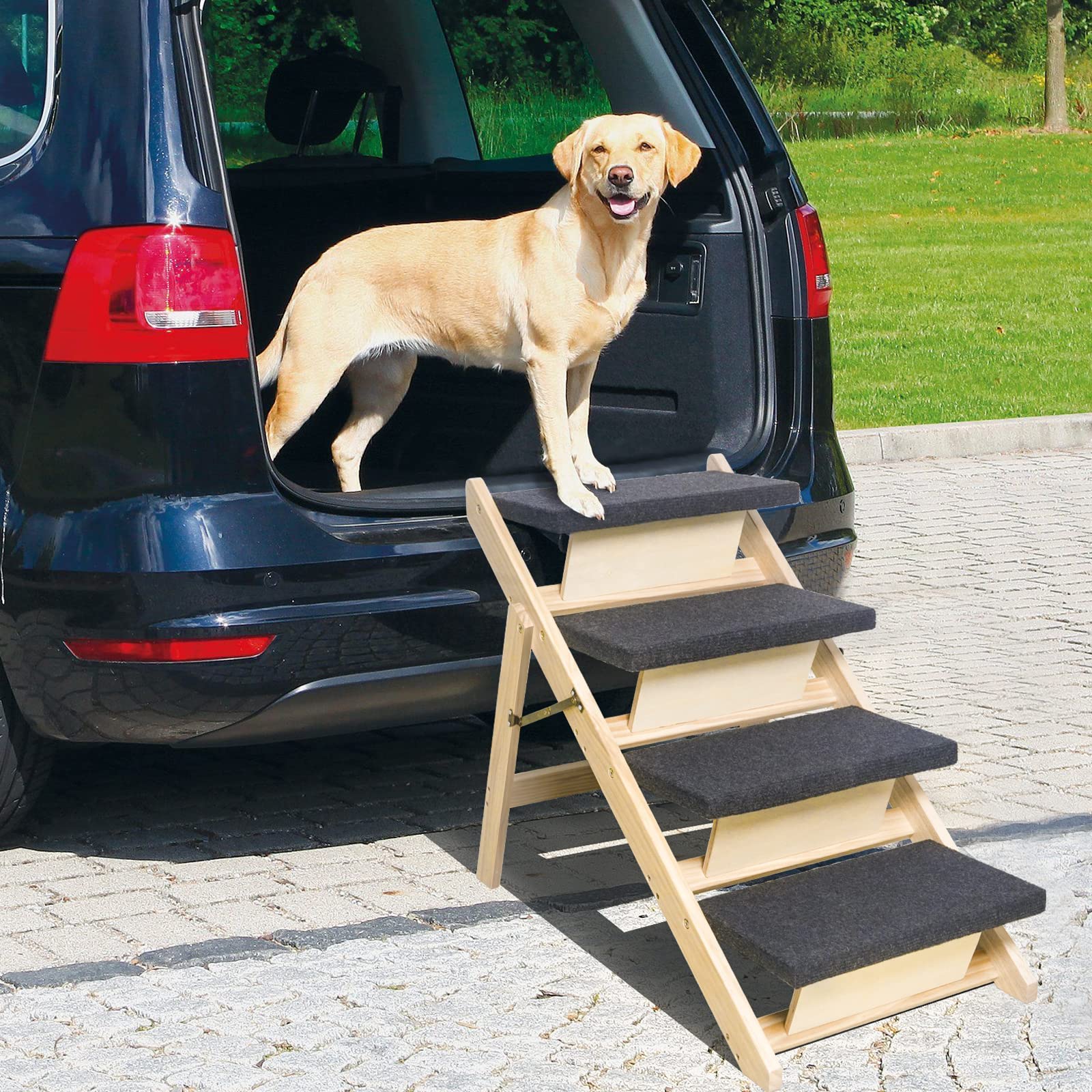 BRIKY escalier chien acces rapide aux lits hauts et canapes