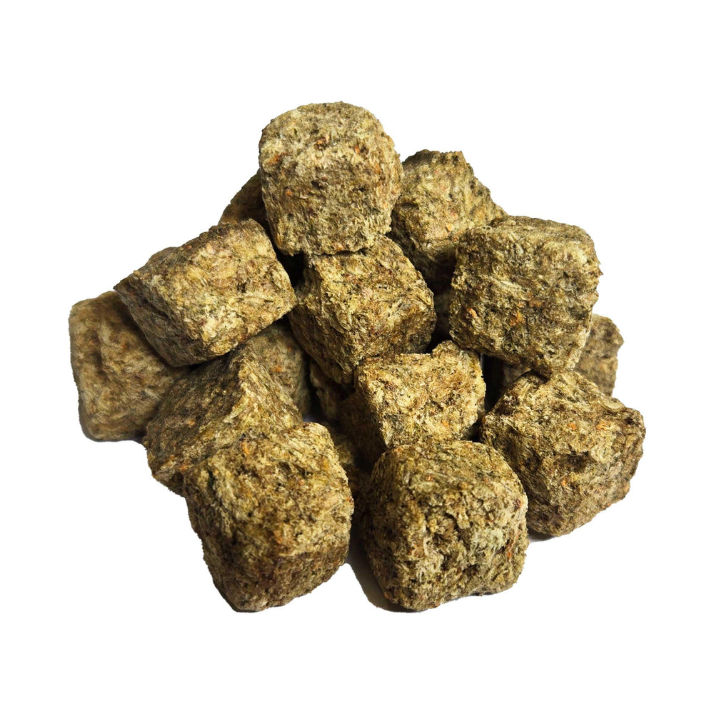 Cubes de crevettes Brine Shrimp Direct, enrichis naturellement, digestion facilitée pour les poissons d'eau douce.