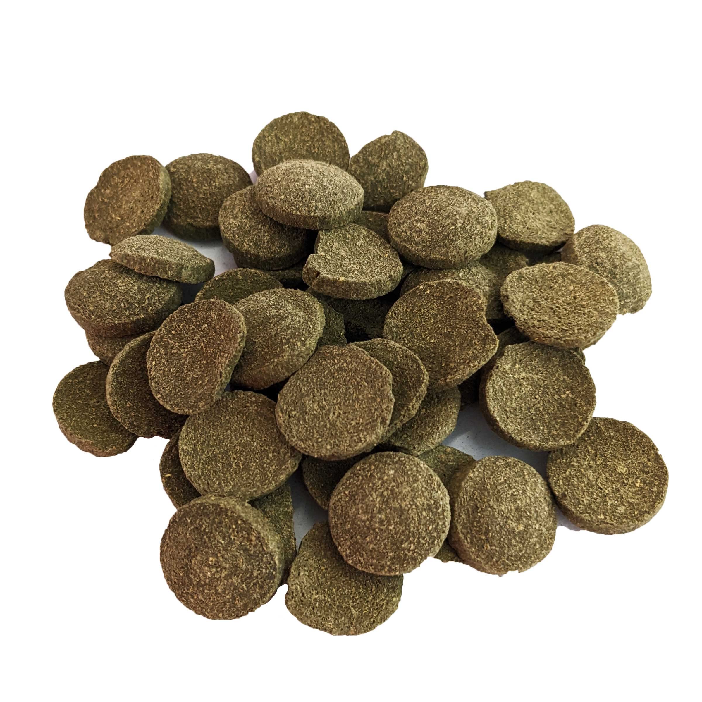 Brine Shrimp Direct PhytoDisc Plus: galettes spiruline alimentation quotidienne pour poissons herbivores