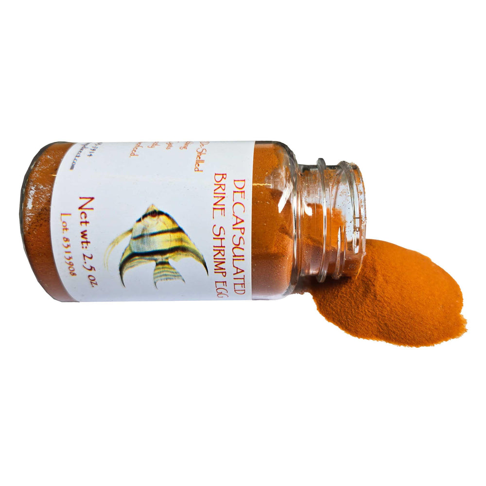 Brine Shrimp Direct œufs décapsulés, réhydratation rapide pour poissons juvéniles.