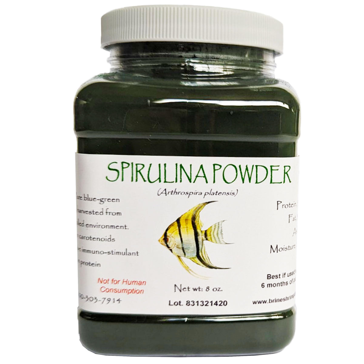 Brine Shrimp Direct Spiruline Poudre dans la bouteille, source de protéines et de pigments pour poissons.