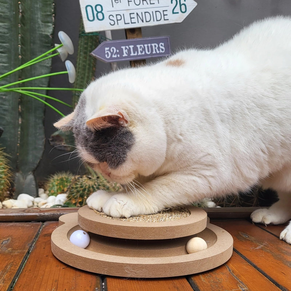 Britepaws piste balle roulante chat, stimule l’instinct de chasse et jeu.