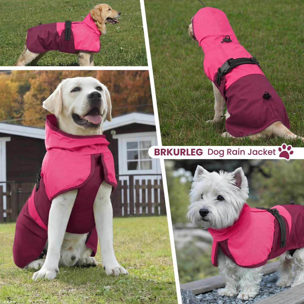 BRKURLEG manteau chien imperméable pour promenades en extérieur sous la pluie.