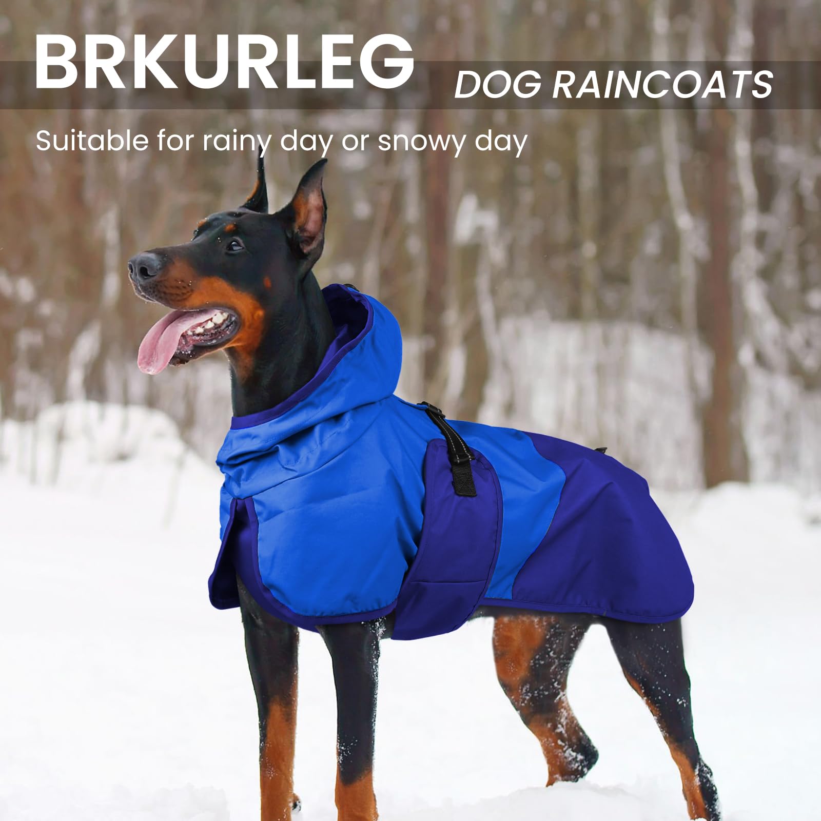 BRKURLEG capuche-dos-manteau, design pratique qui reste en place même par vent.
