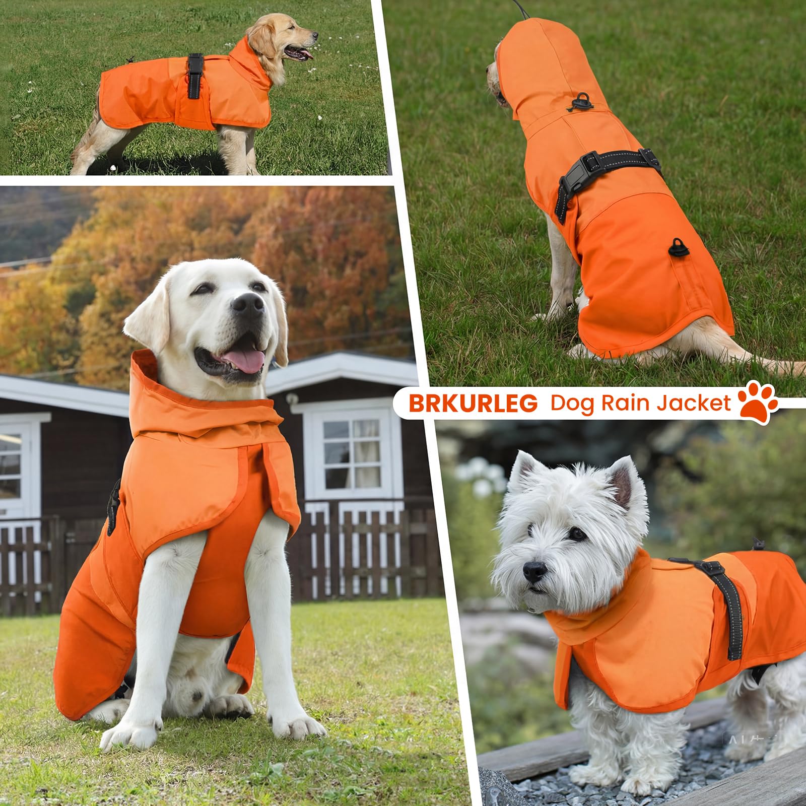BRKURLEG tailles-variées, adapté à la plupart des chiens jusqu'à XXXL