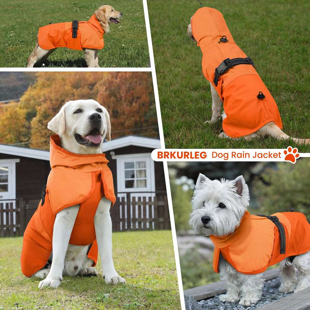BRKURLEG tailles-variées, adapté à la plupart des chiens jusqu'à XXXL