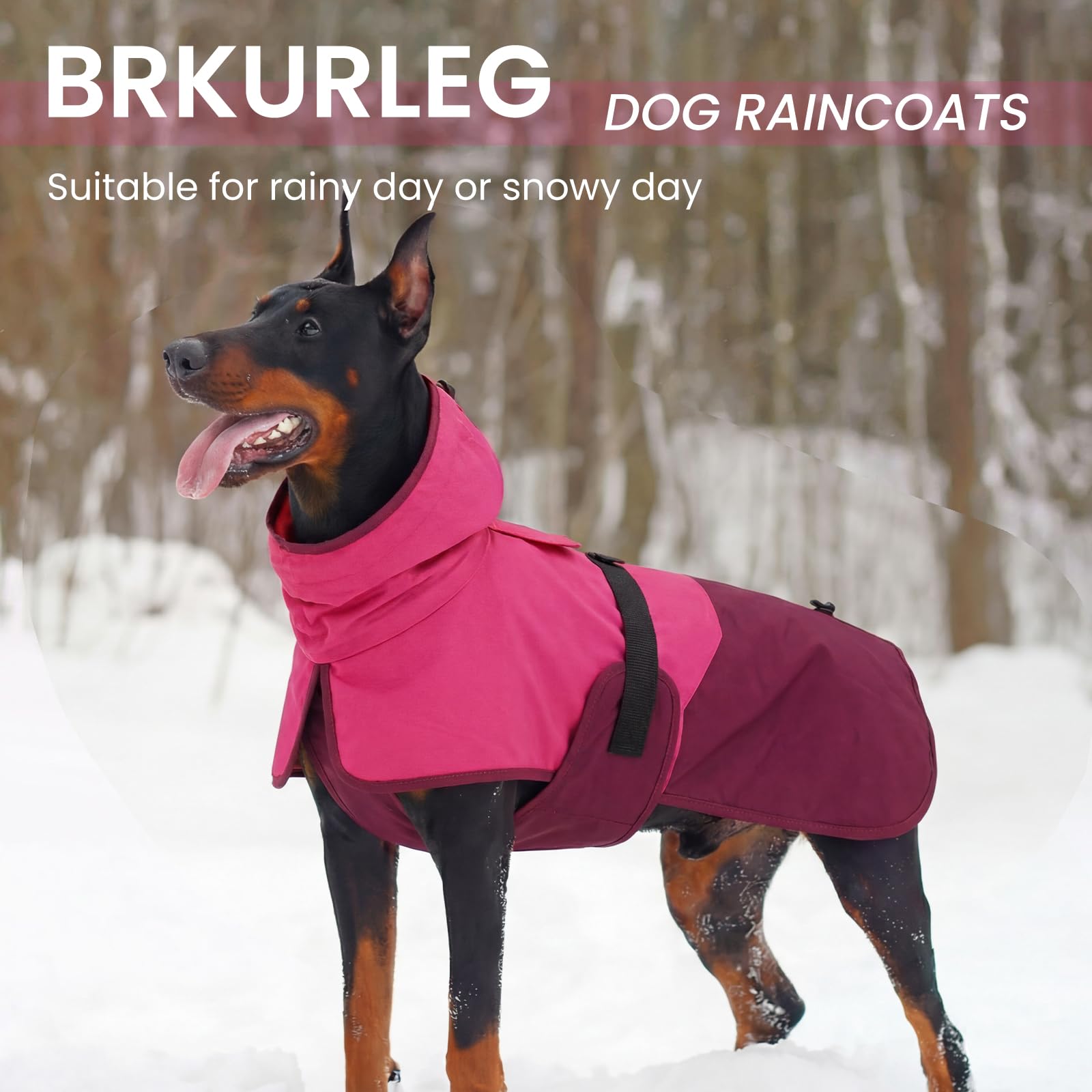 BRKURLEG veste-chien-journee-pluie : parfait pour les promenades quotidiennes sous la pluie.