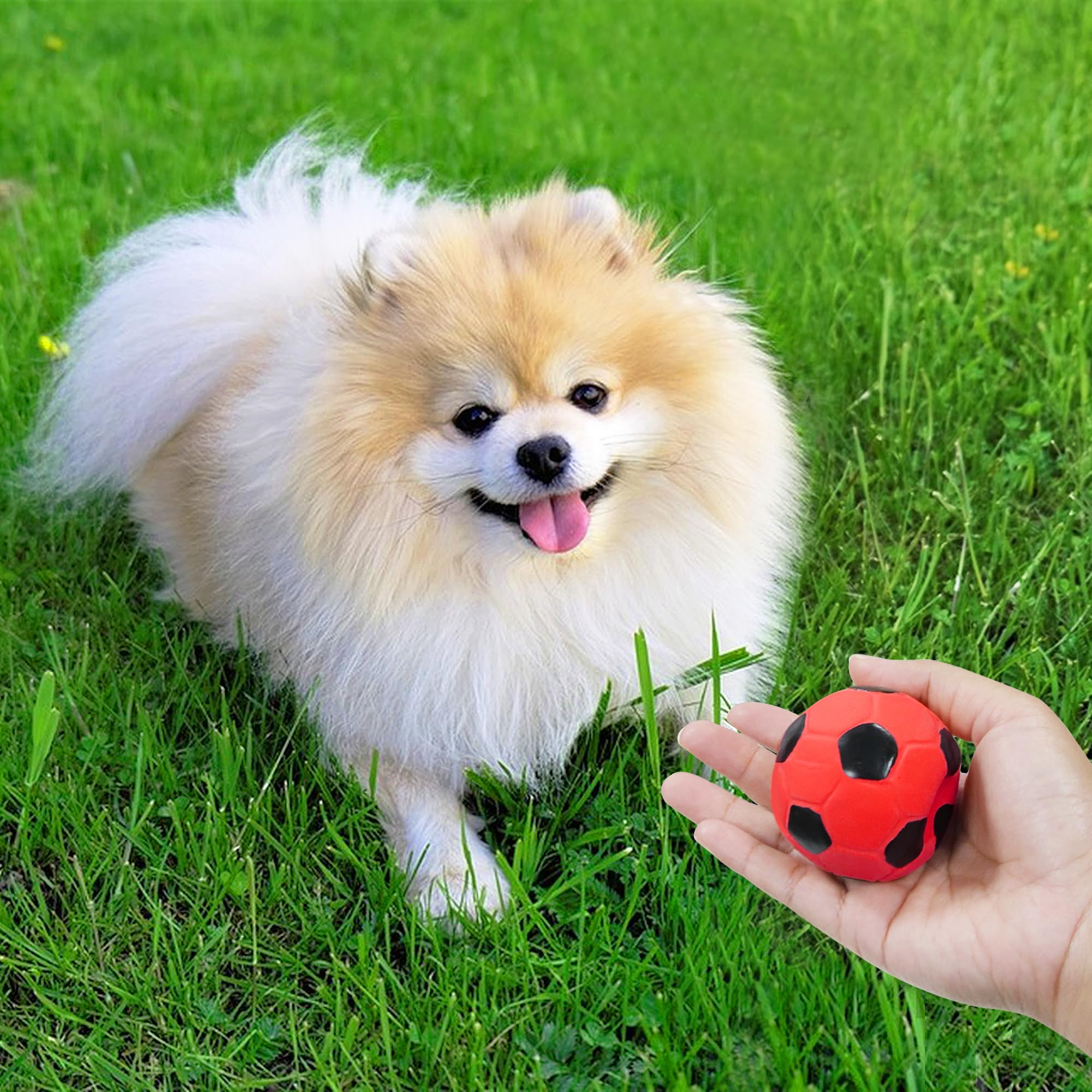 Cadeau BRMDT pratique, jouet de sport canin pour entraînement et divertissement quotidien.