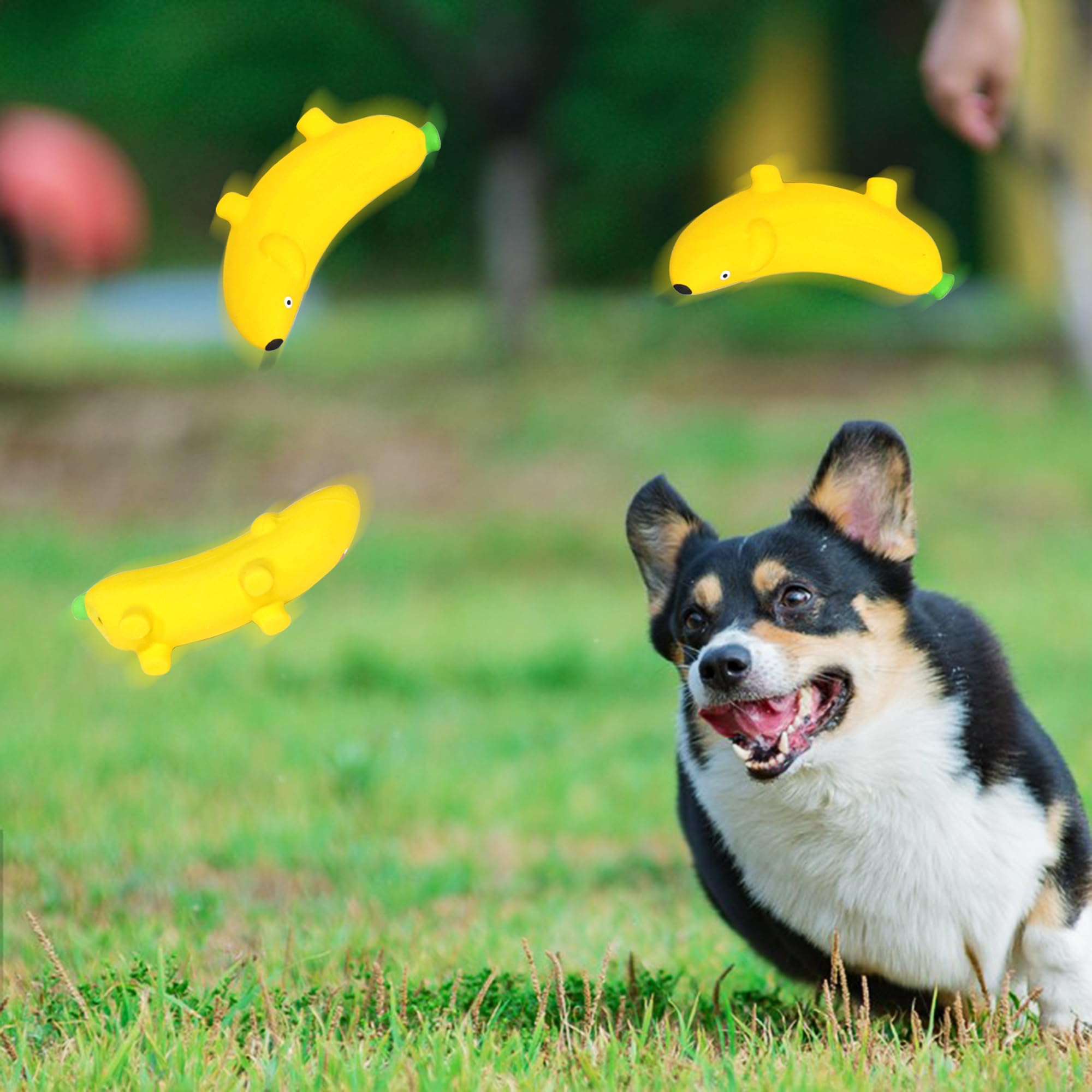 BRMDT jouet banane sifflement, décor fruit ludique pour chien et intérieur.