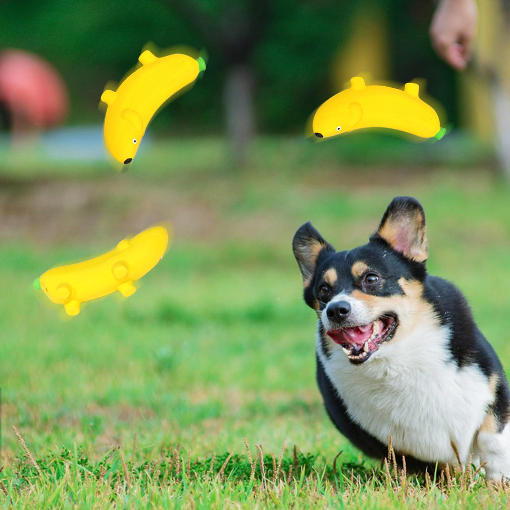 BRMDT jouet banane sifflement, décor fruit ludique pour chien et intérieur.