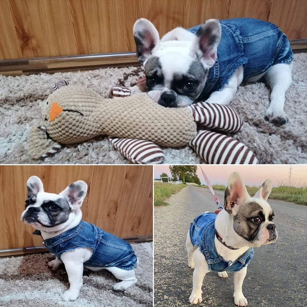 Brocarp Veste jean bleu détail poitrine, style chic pour photos.