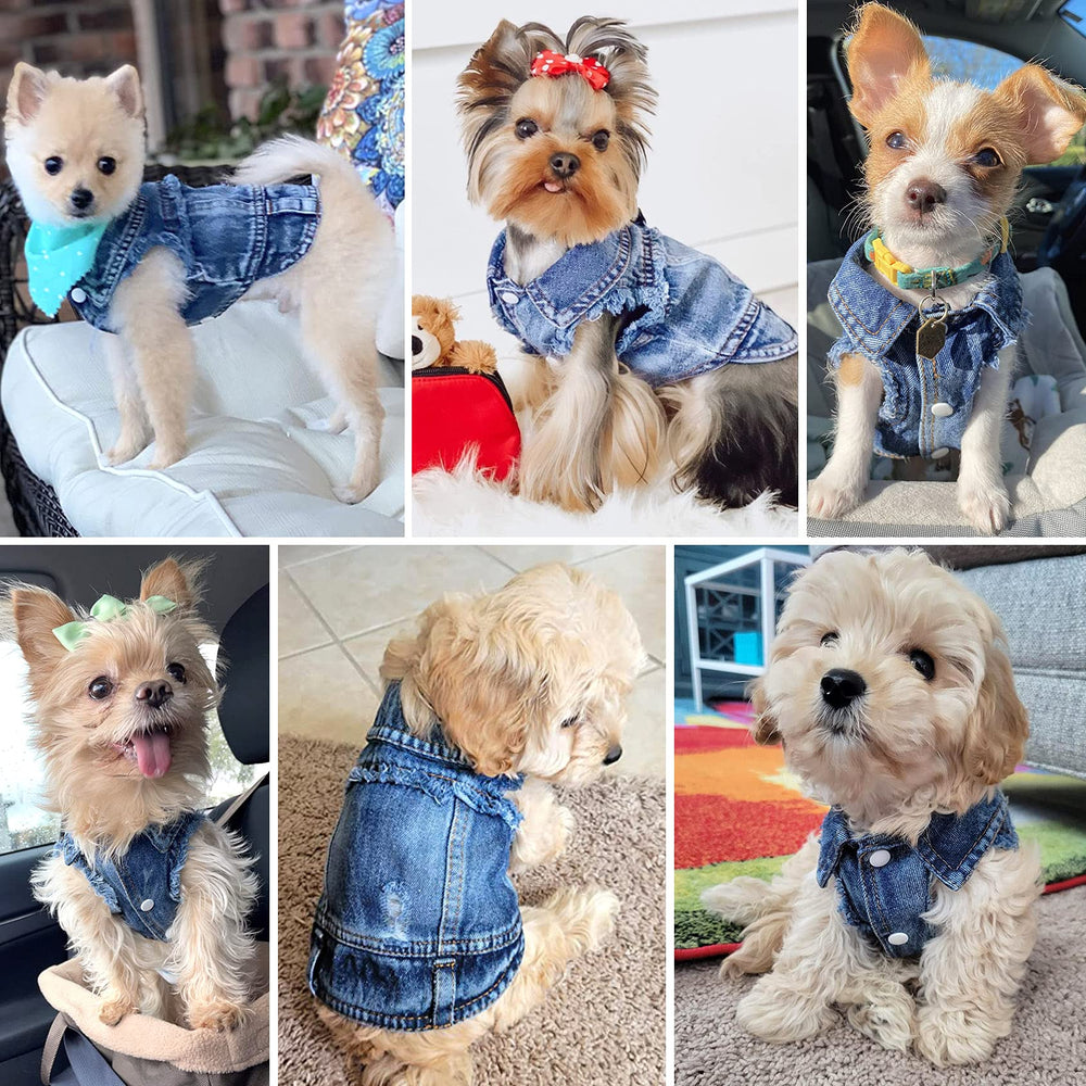 Brocarp Veste jean bleu usage quotidien, idéale pour sorties.
