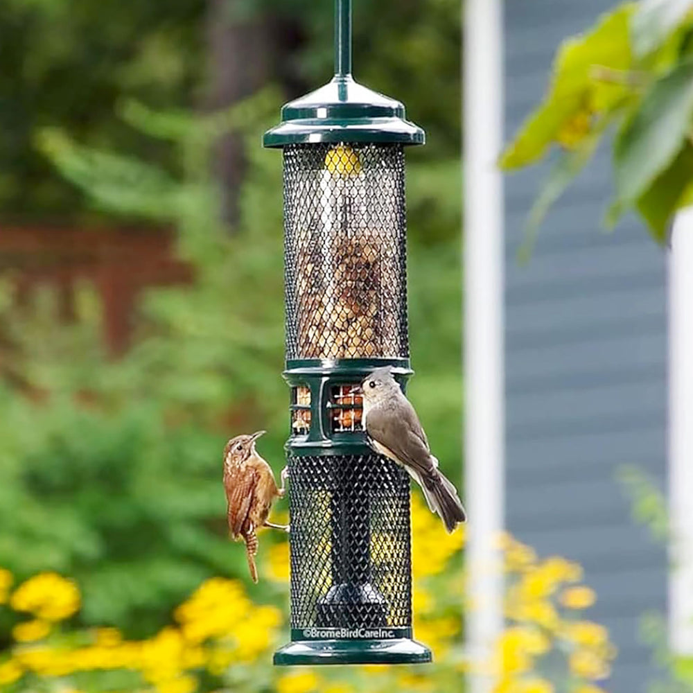 Brome Squirrel Buster Anti-Ecureuil: sécurité sans blessure pour les animaux