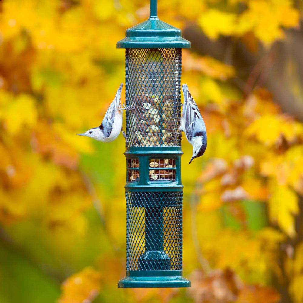 Brome Squirrel Buster Mesh Double: mailles adaptées pour divers aliments