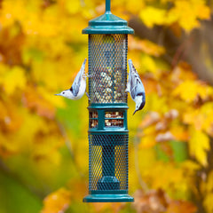 Brome Squirrel Buster Mesh Double: mailles adaptées pour divers aliments