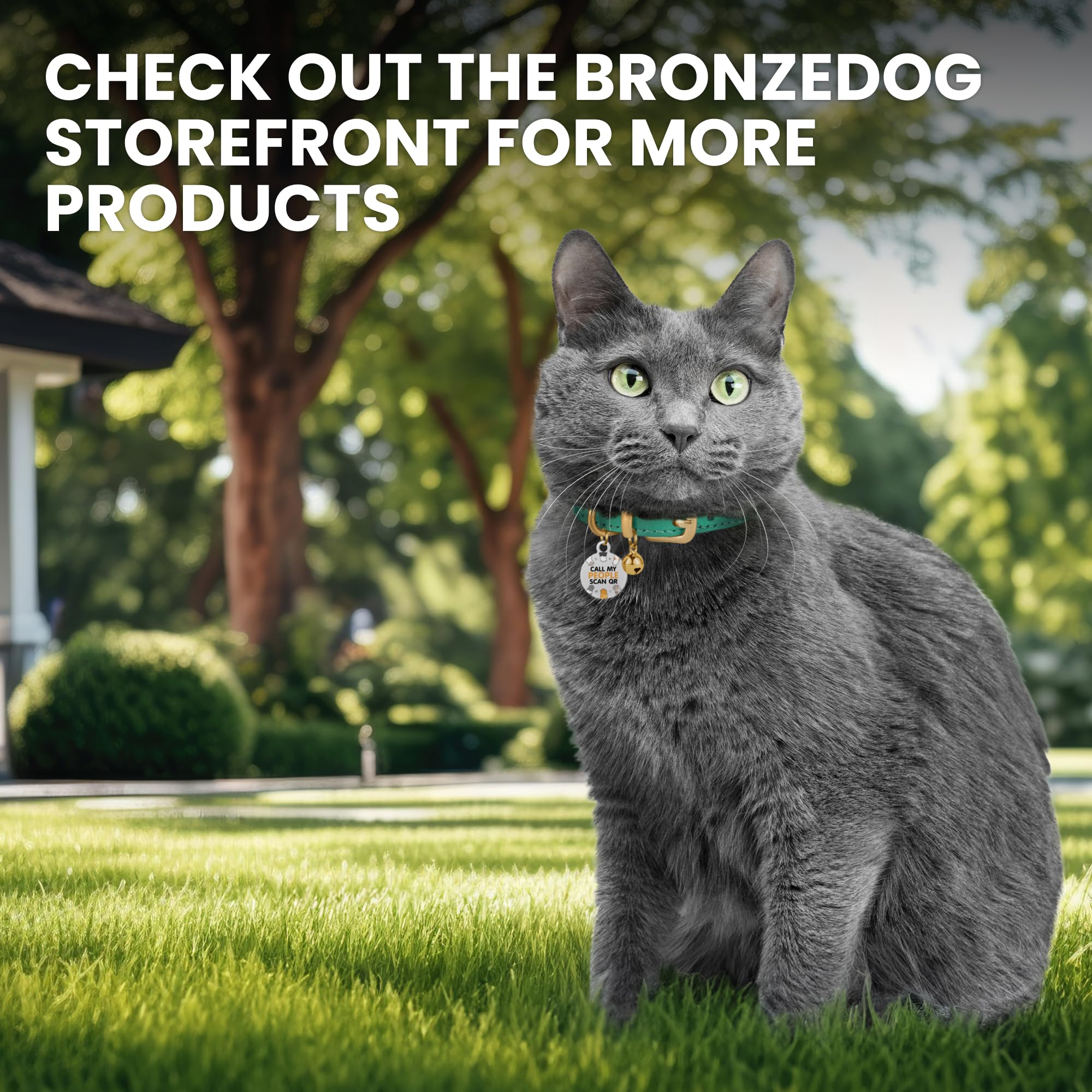 Matériaux hypoallergeniques et cuir durable du collier BRONZEDOG