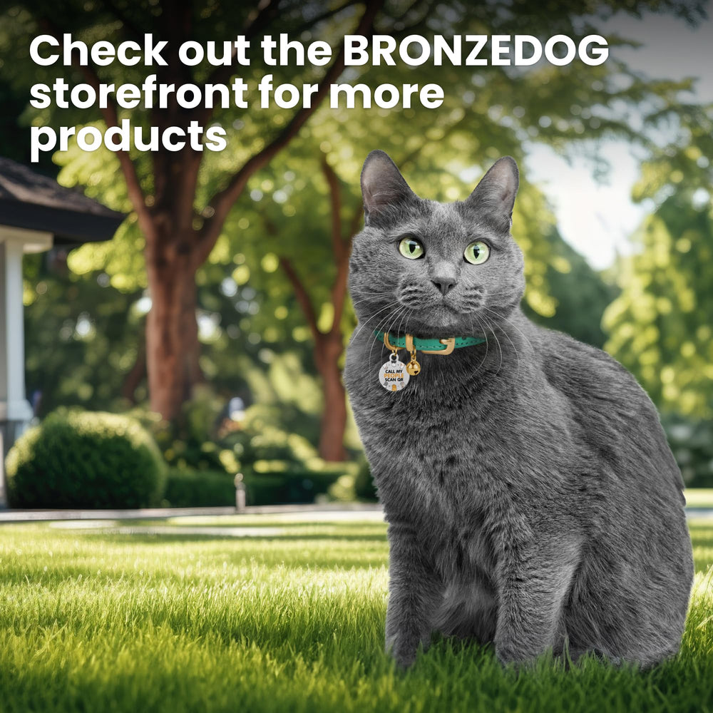 BRONZEDOG collier taille 7-9 po adapté aux chats et petits compagnons.