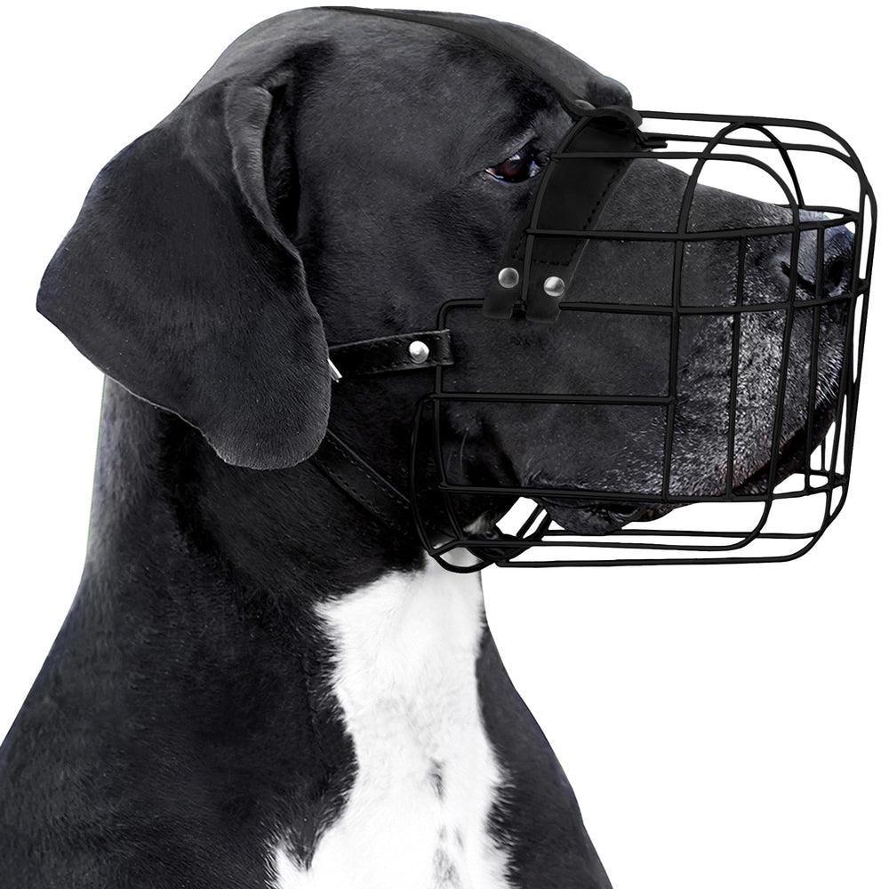Bronzedog masque-chien PVC-armature-fil, sécurité renforcée lors des promenades.