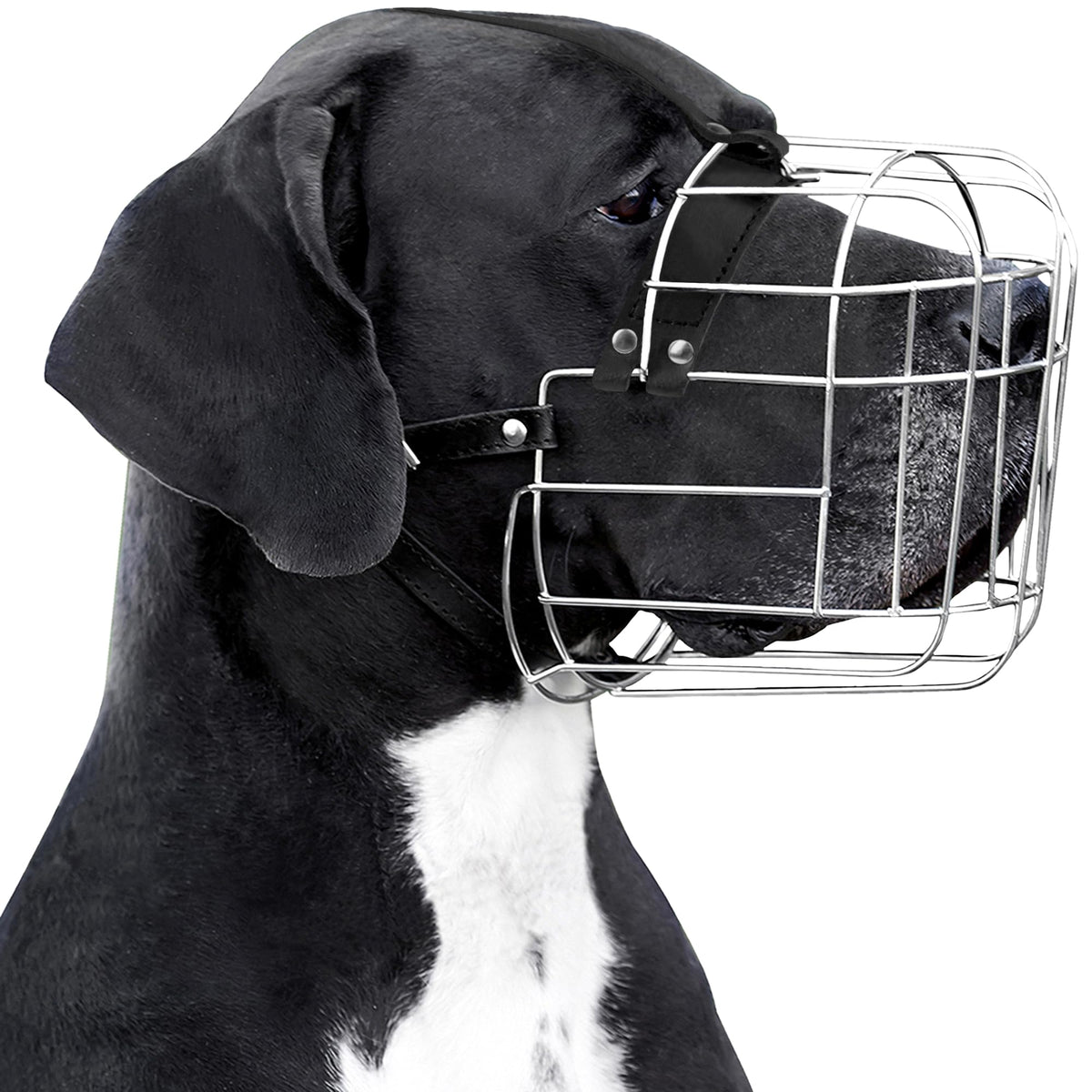 BRONZEDOG muselière grande taille avec cadre métallique pour contrôle sûr