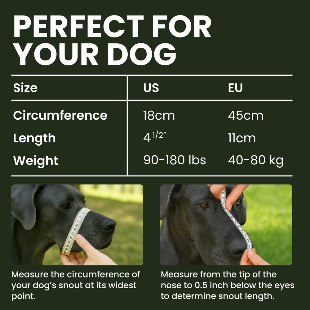 BRONZEDOG sangles en cuir ajustables pour un confort personnalisé