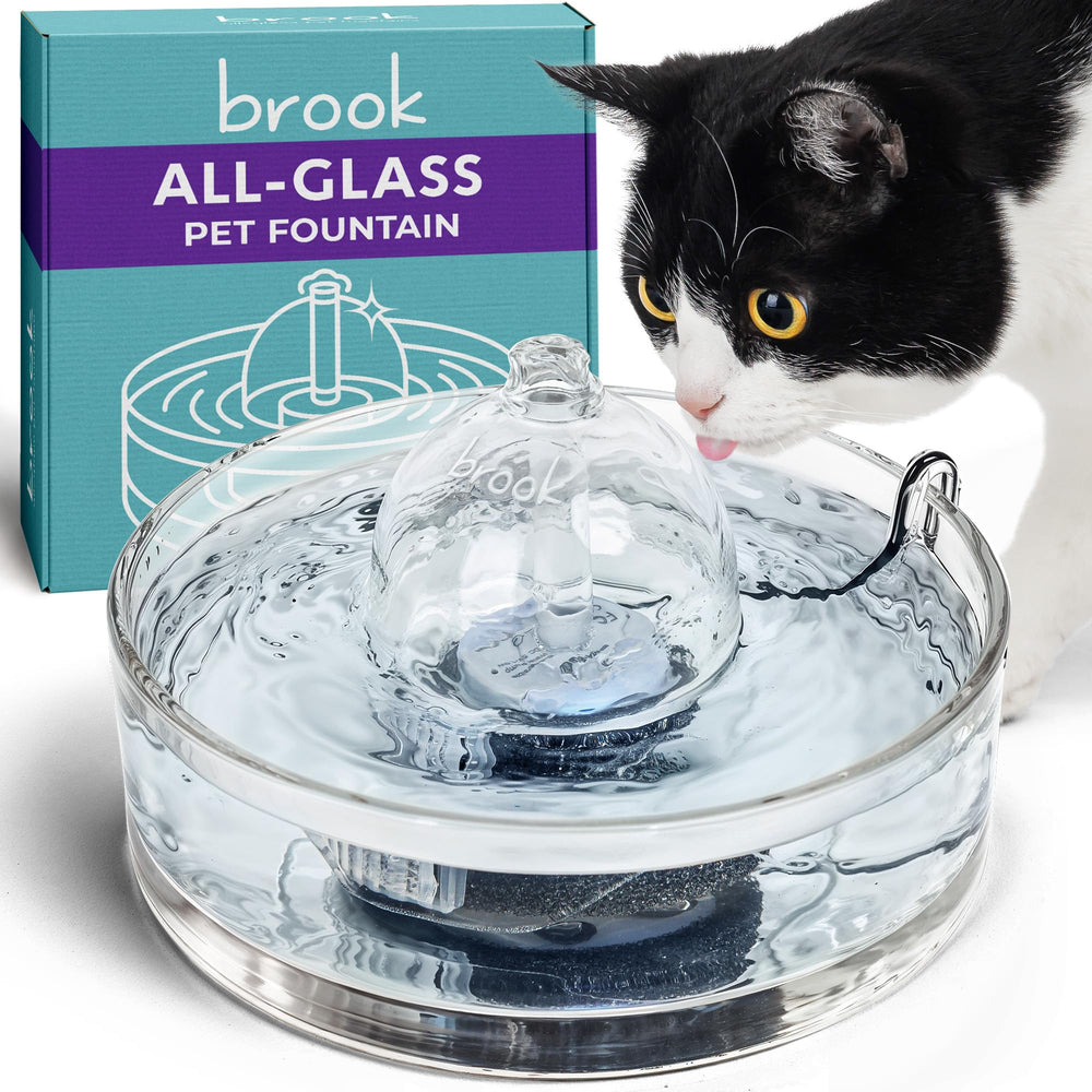 Brook fontaine-chat-verre-90oz : hydratation claire et saine pour animaux.