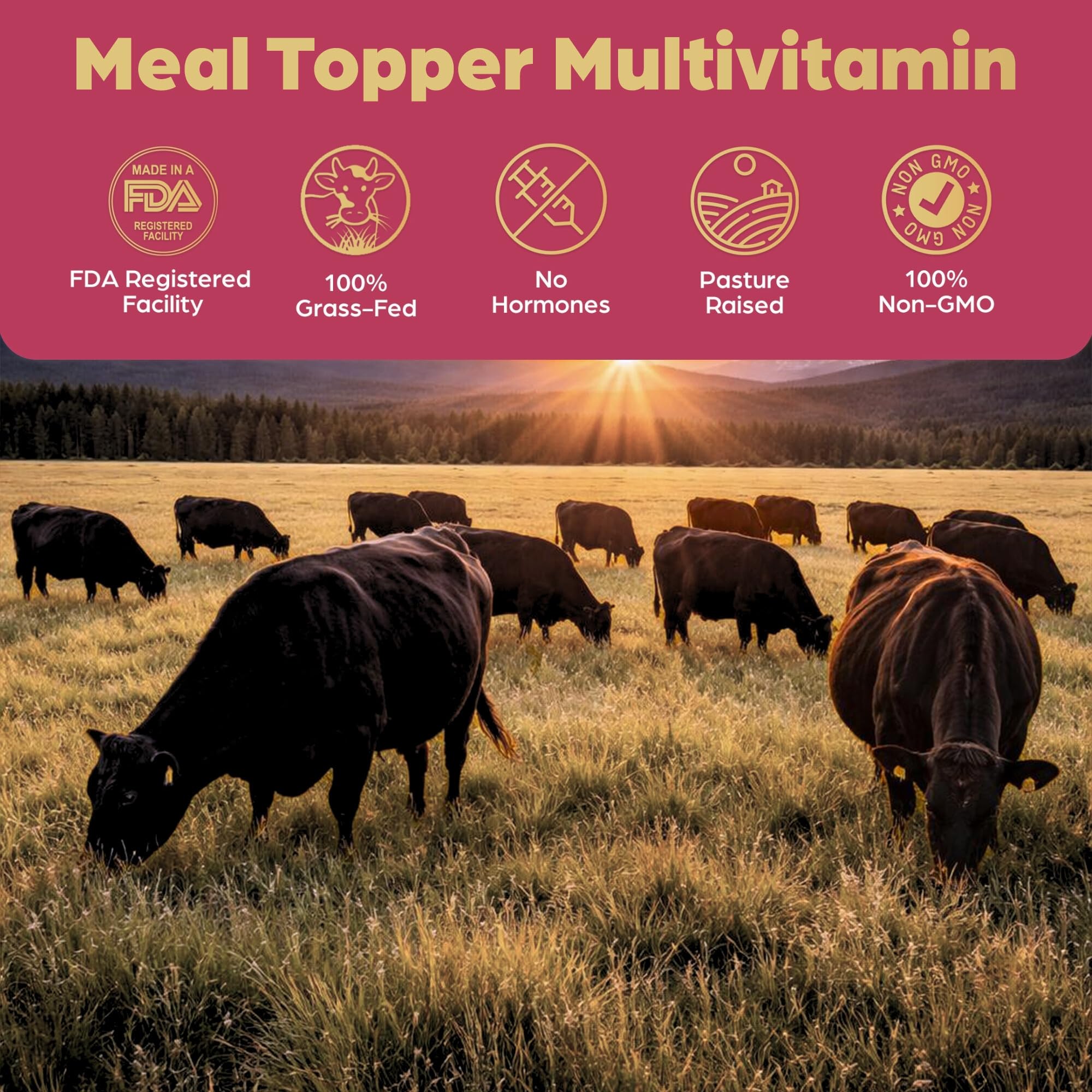 Brothhh approuve par veterinaries — confiance professionnelle et alimentation variee