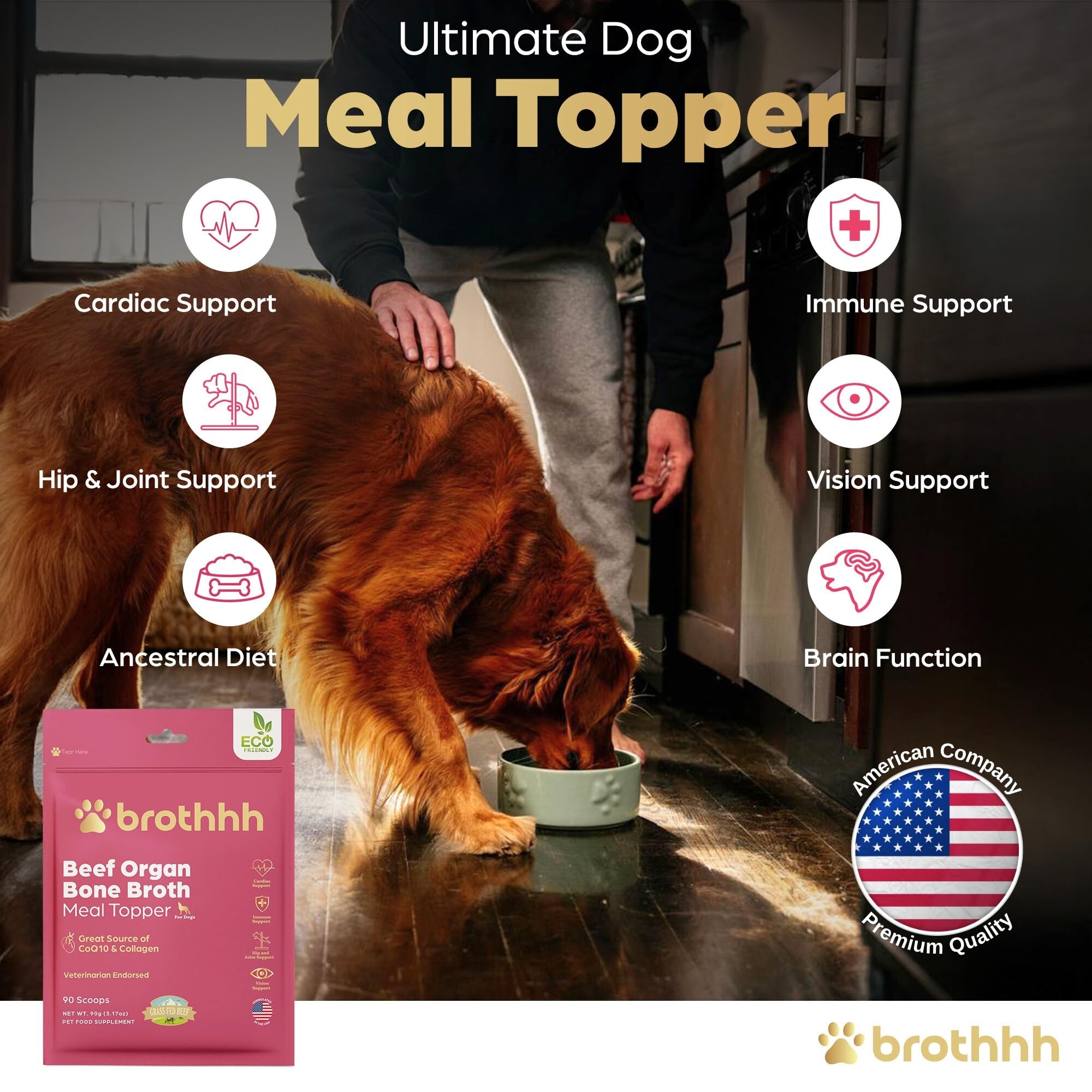 Brothhh CoQ10 et collagene — soutien potentiel a la vitalite du chien