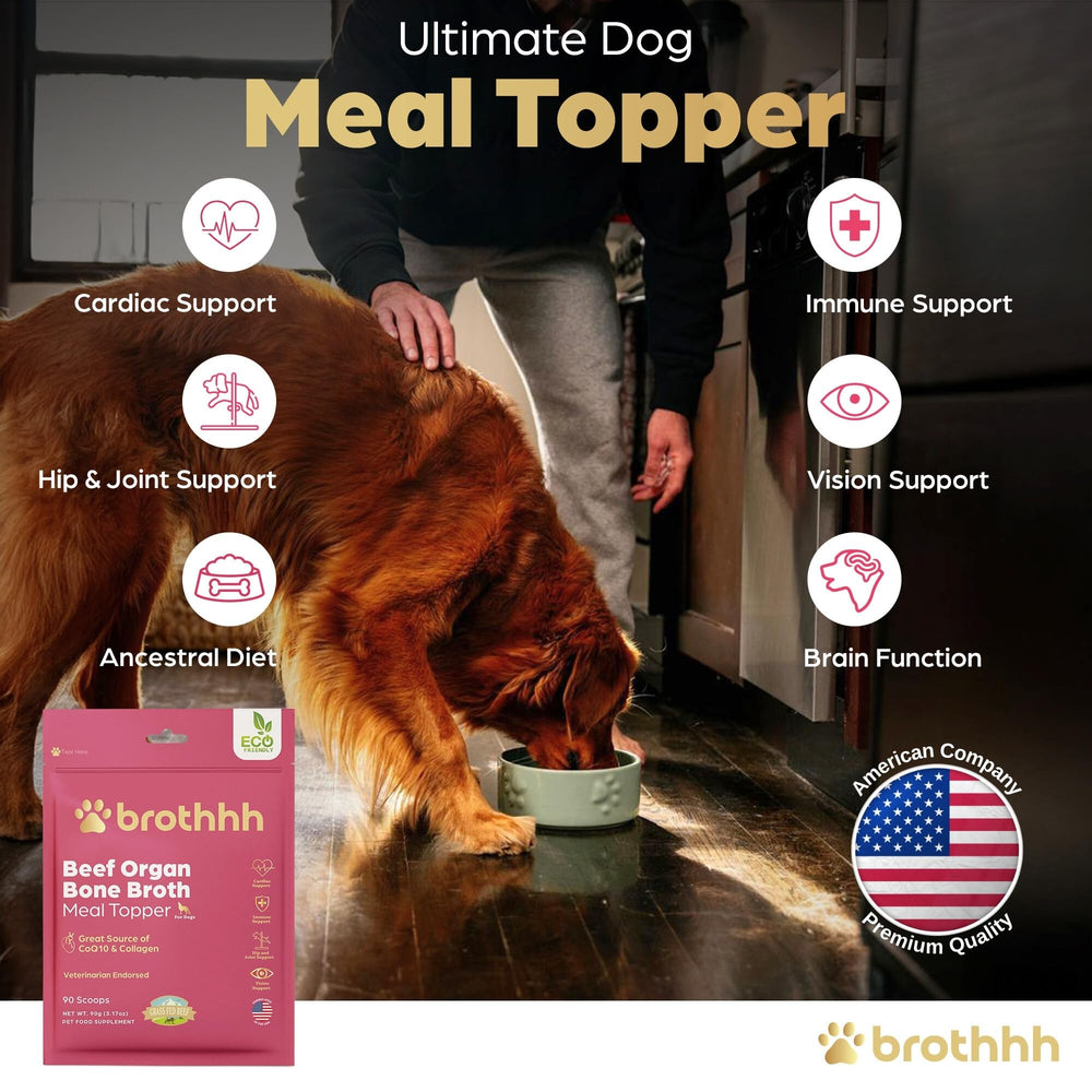 Brothhh CoQ10 et collagene — soutien potentiel a la vitalite du chien