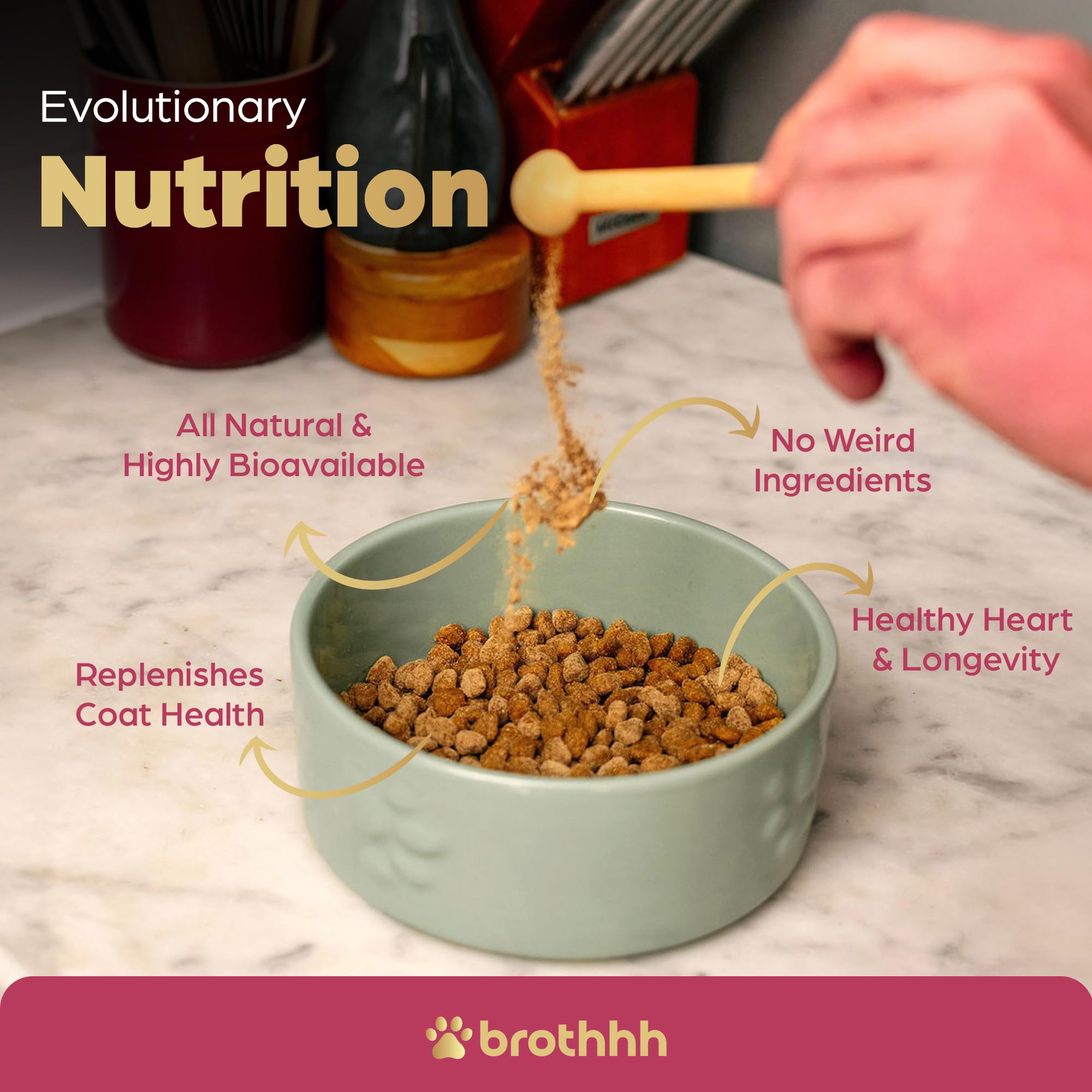 Brothhh ingredients boeuf organes — nutrition naturelle sans hormones ni additifs