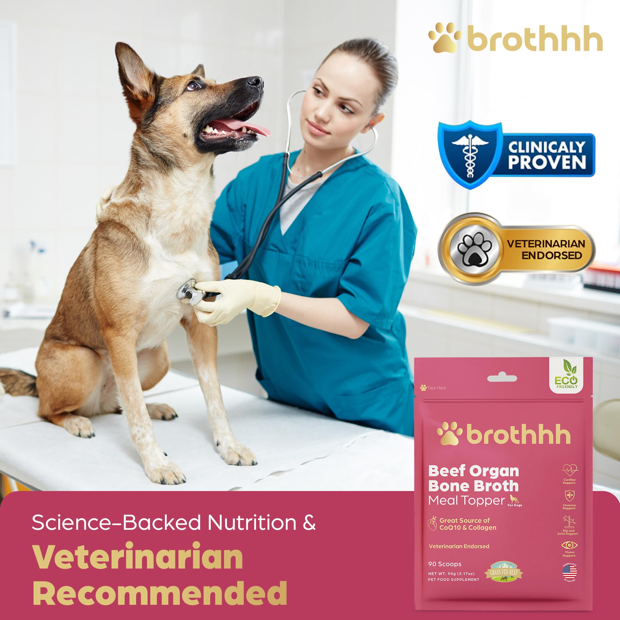 Brothhh regime ancestral pour chiens — approche naturelle et biodisponible