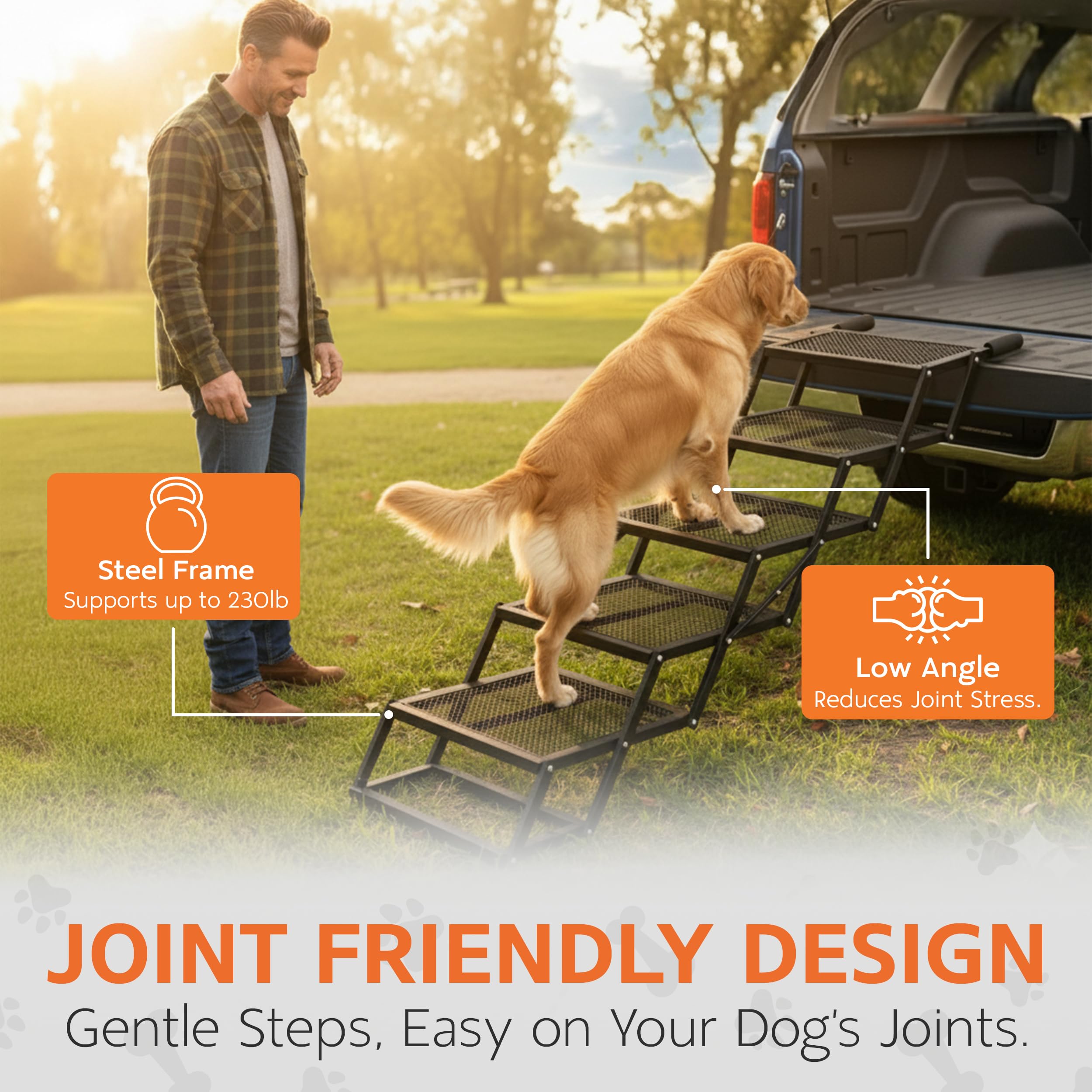 Capacité jusqu’à 230 lb Brulio, support fiable pour grands chiens et seniors.