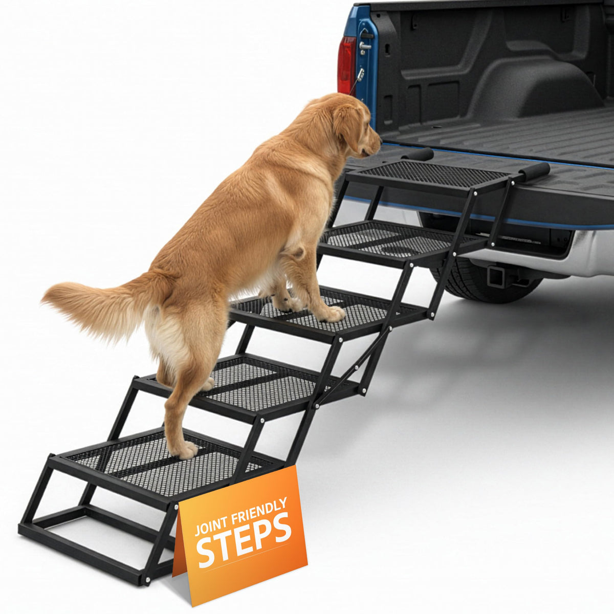 Escalier Brulio pour chien dans la voiture avec cinq marches pliables et sûres.