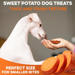 BRUTUS & BARNABY ingrédient unique patate douce, sans additifs artificiels