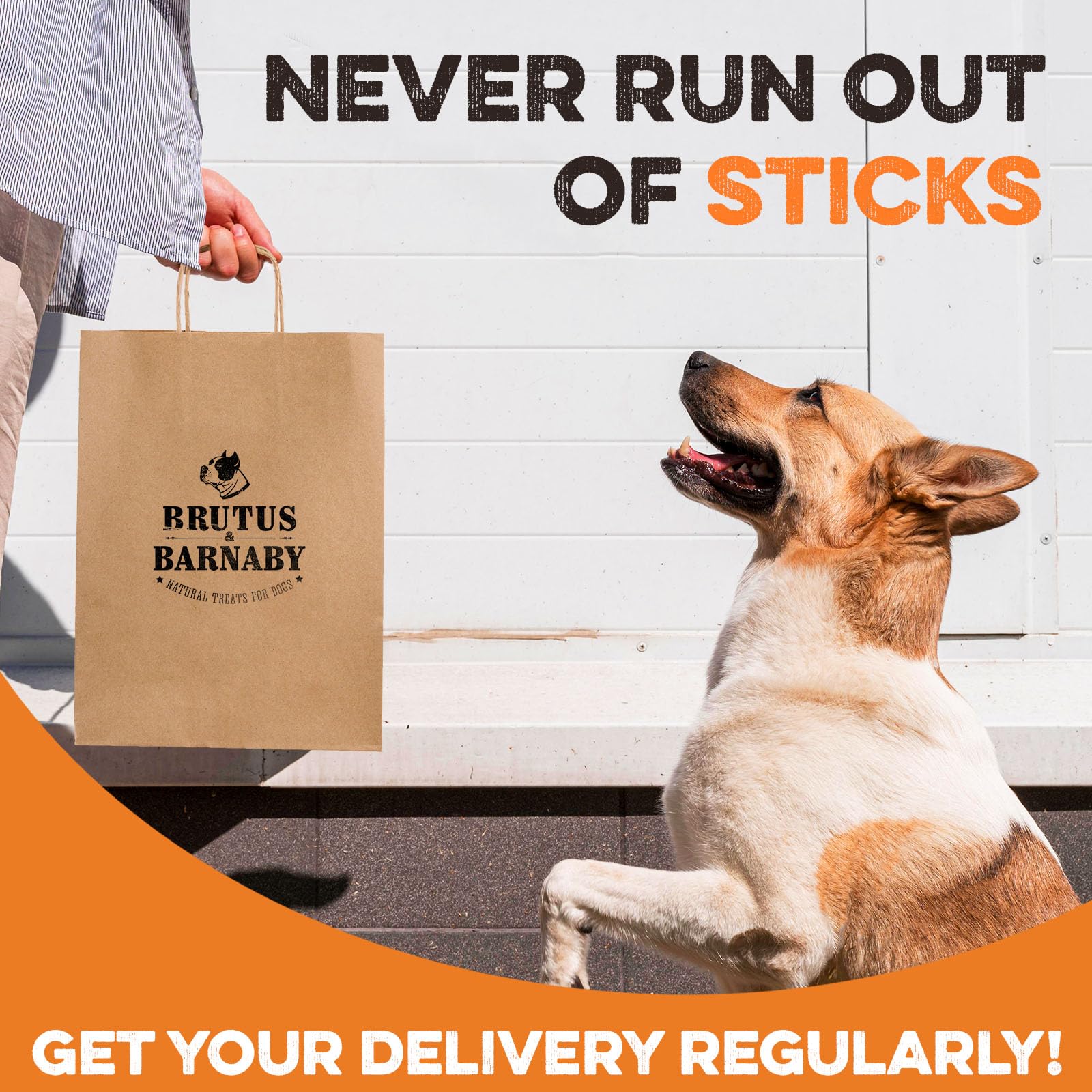 BRUTUS & BARNABY – Ingrédients d’organes, protéines naturelles et saveur distinctive.