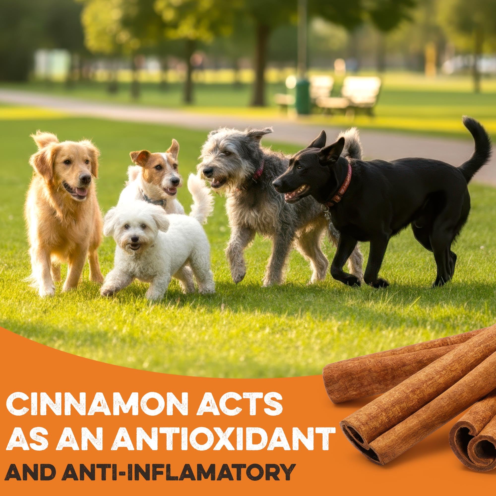Sans cereales patates douces, adaptées aux chiens sensibles.