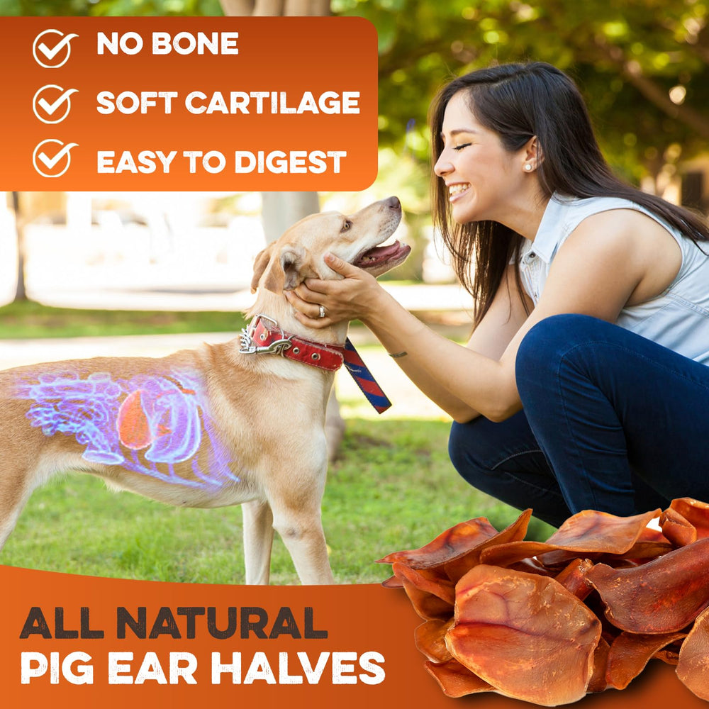 BRUTUS & BARNABY – oreilles de porc entières, idéale pour chiens âgés et chiots.