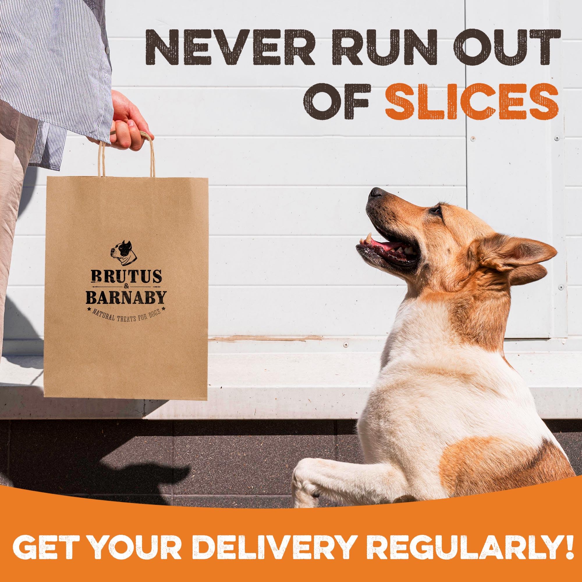 Snack quotidien BRUTUS & BARNABY, convient aux chiens actifs.