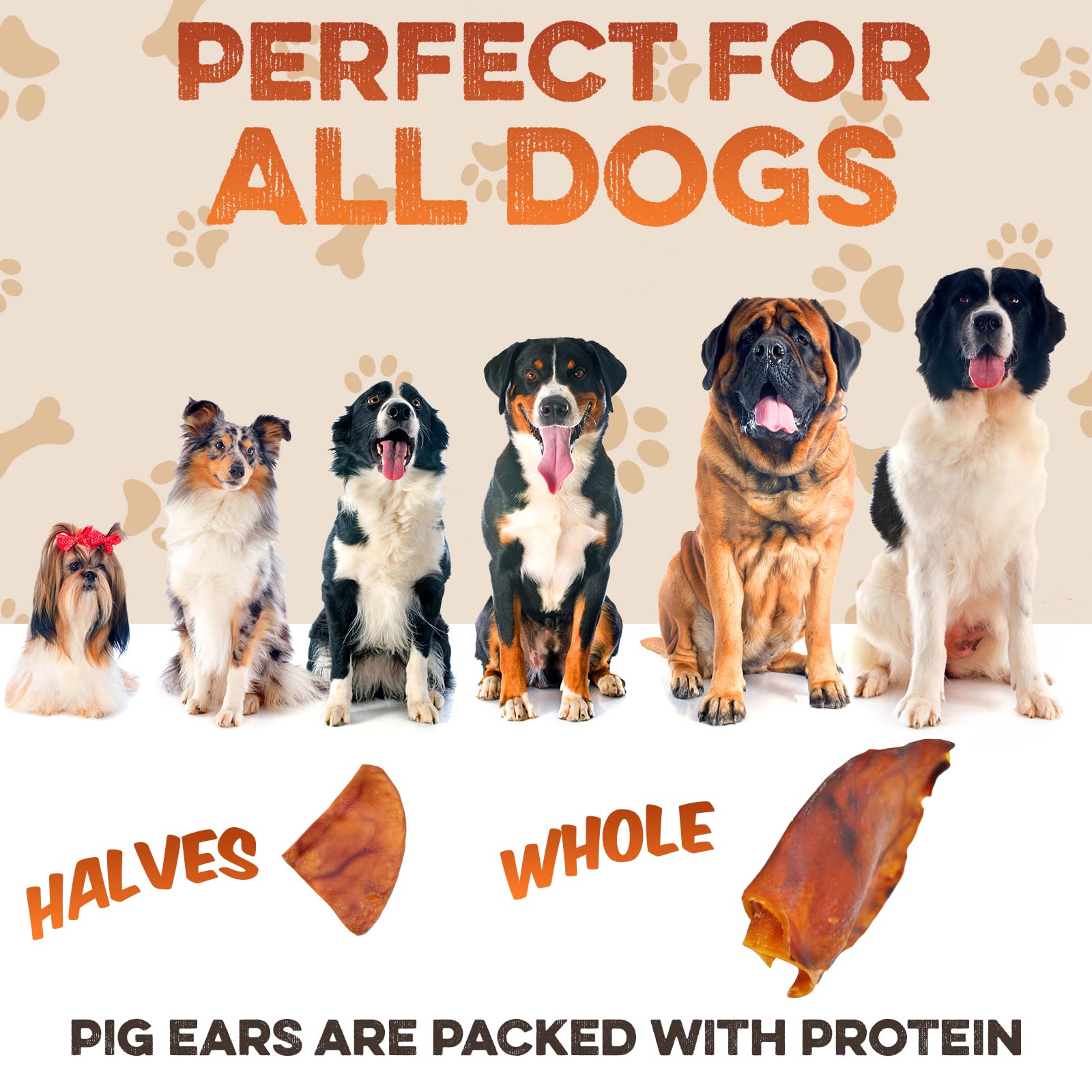 BRUTUS & BARNABY – demi-oreilles porc, texture ferme et longue mastication.