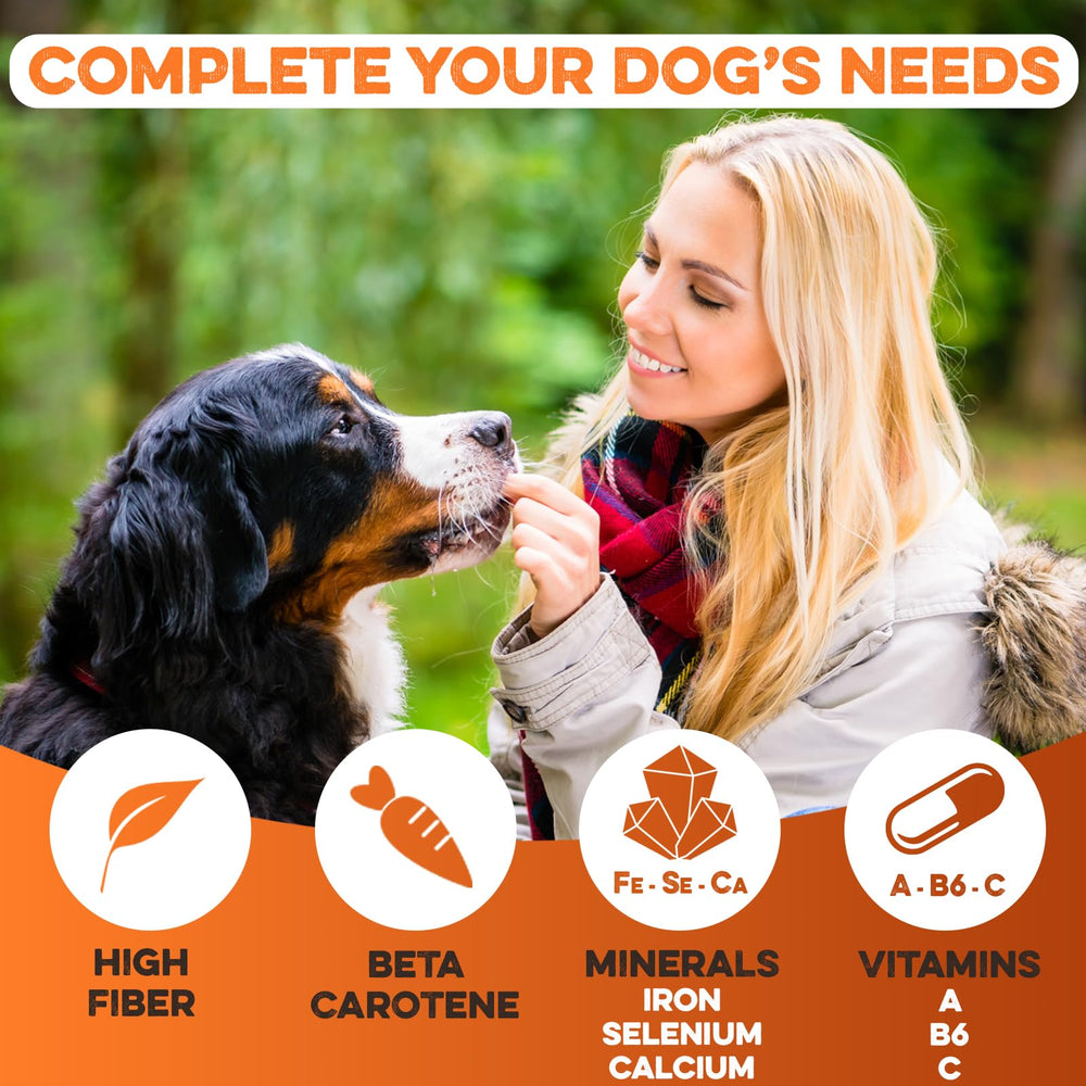 BRUTUS & BARNABY texture plus ferme, friandise durable pour chiens actifs