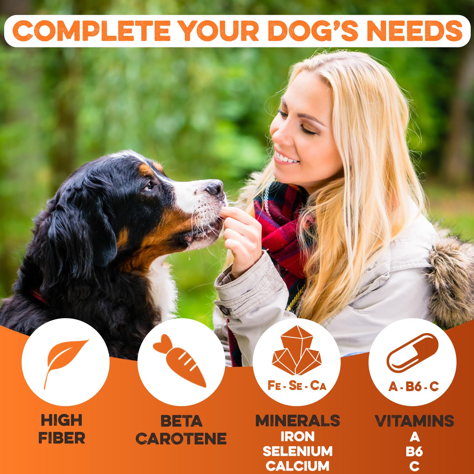 BRUTUS & BARNABY – Version douce et moelleuse, idéale pour chiots et chiens seniors.