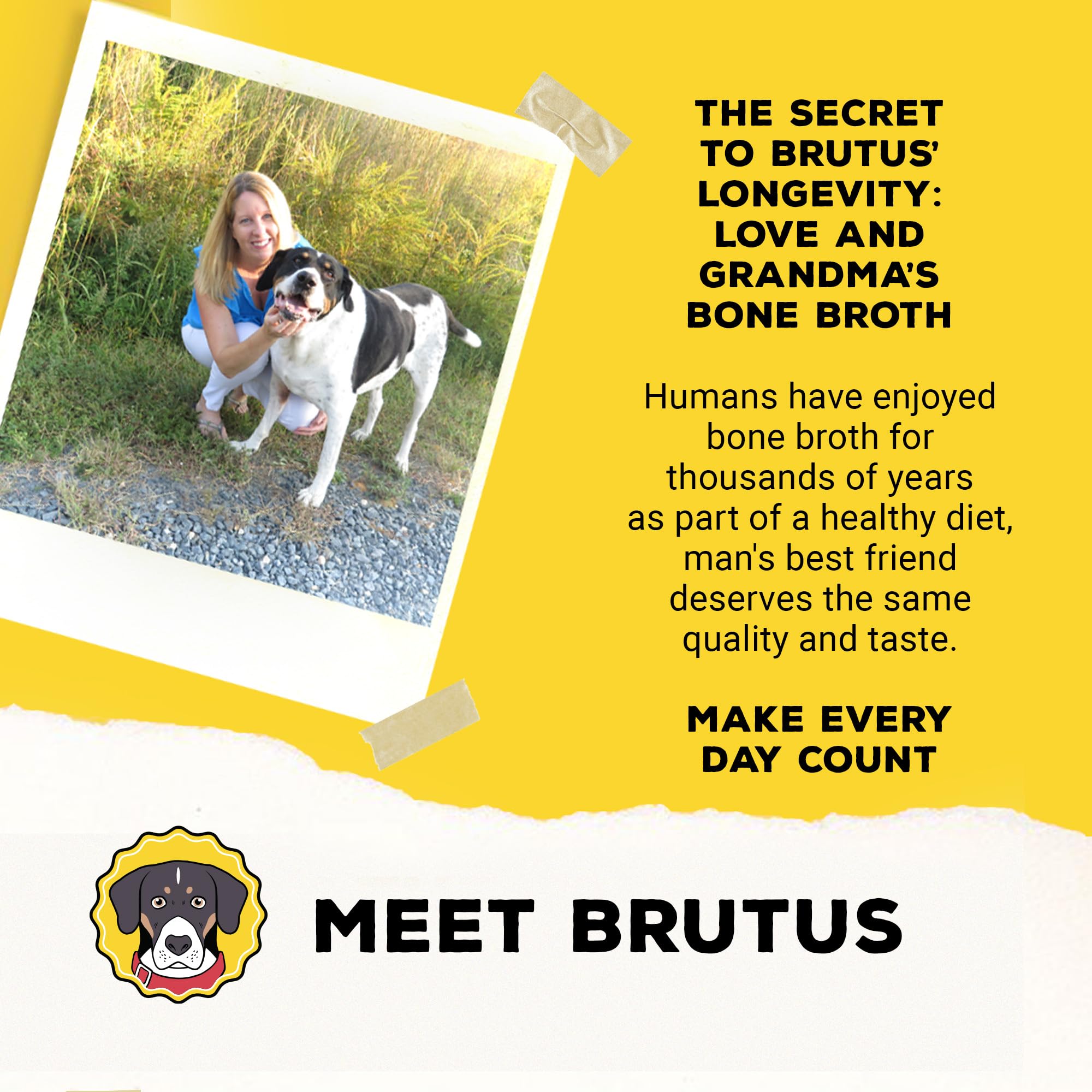 Brutus Bone Broth Biscuits - emportables-sacs, collation pratique lors des promenades.