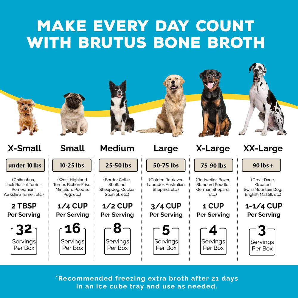 Brutus Bone Broth pour chien, repas en bol avec goût savoureux.