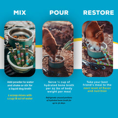 Chien mangeant Brutus Bone Broth dans son bol, arôme riche et hydratation
