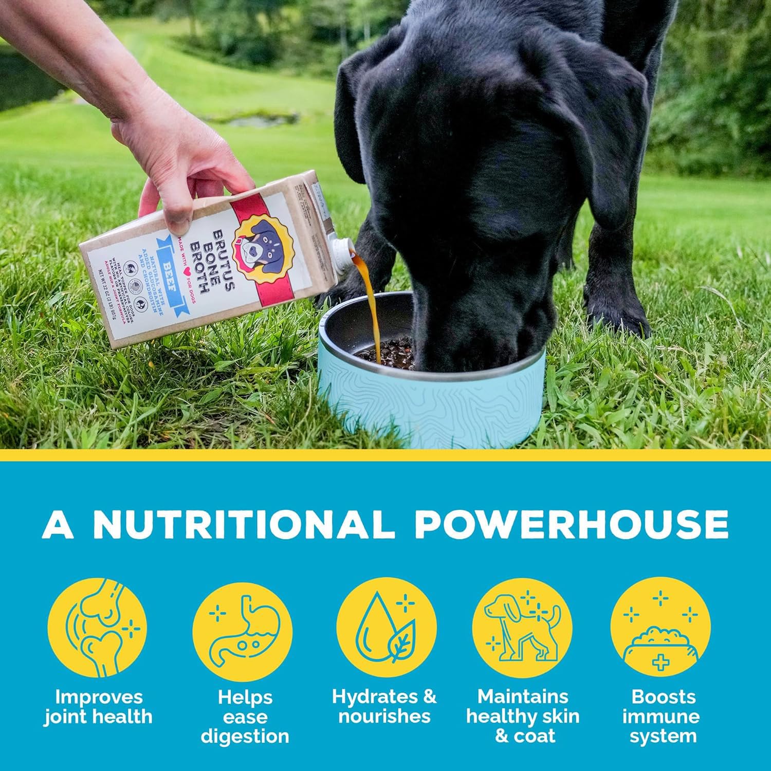 Brutus Bone Broth pour chien, ingrédients naturels et grade humain.