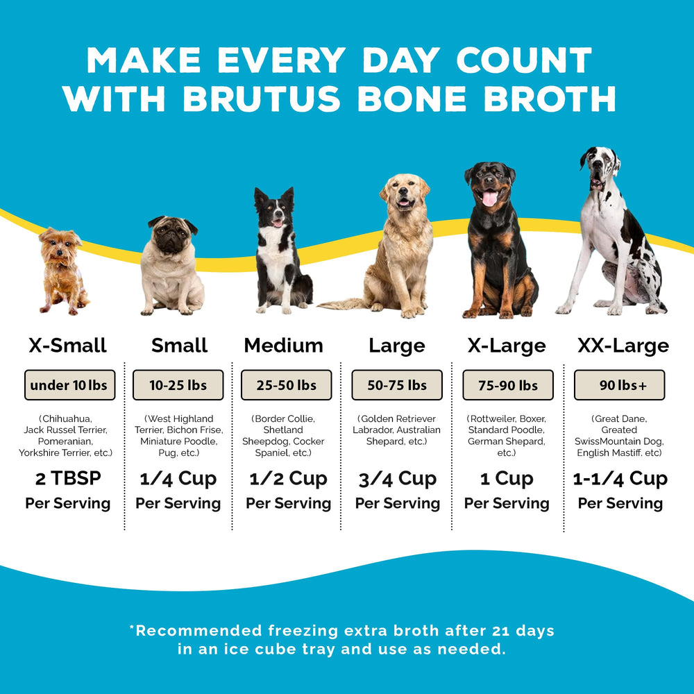 Ingrédients Brutus Bone Broth de qualité humaine et sans additifs artificiels