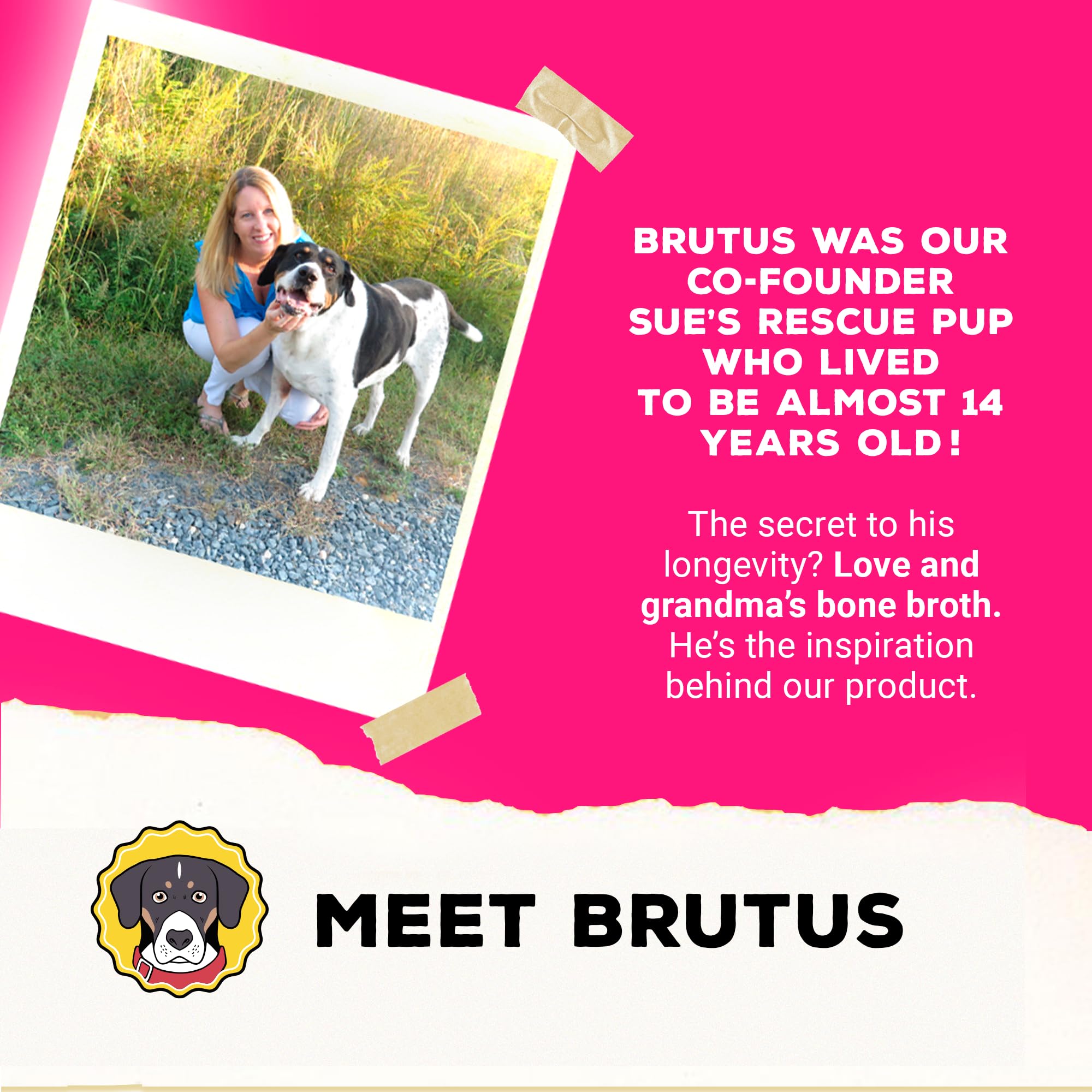 Brutus Bone Broth Lait chèvre Topper, hydratation et nutrition dans les repas