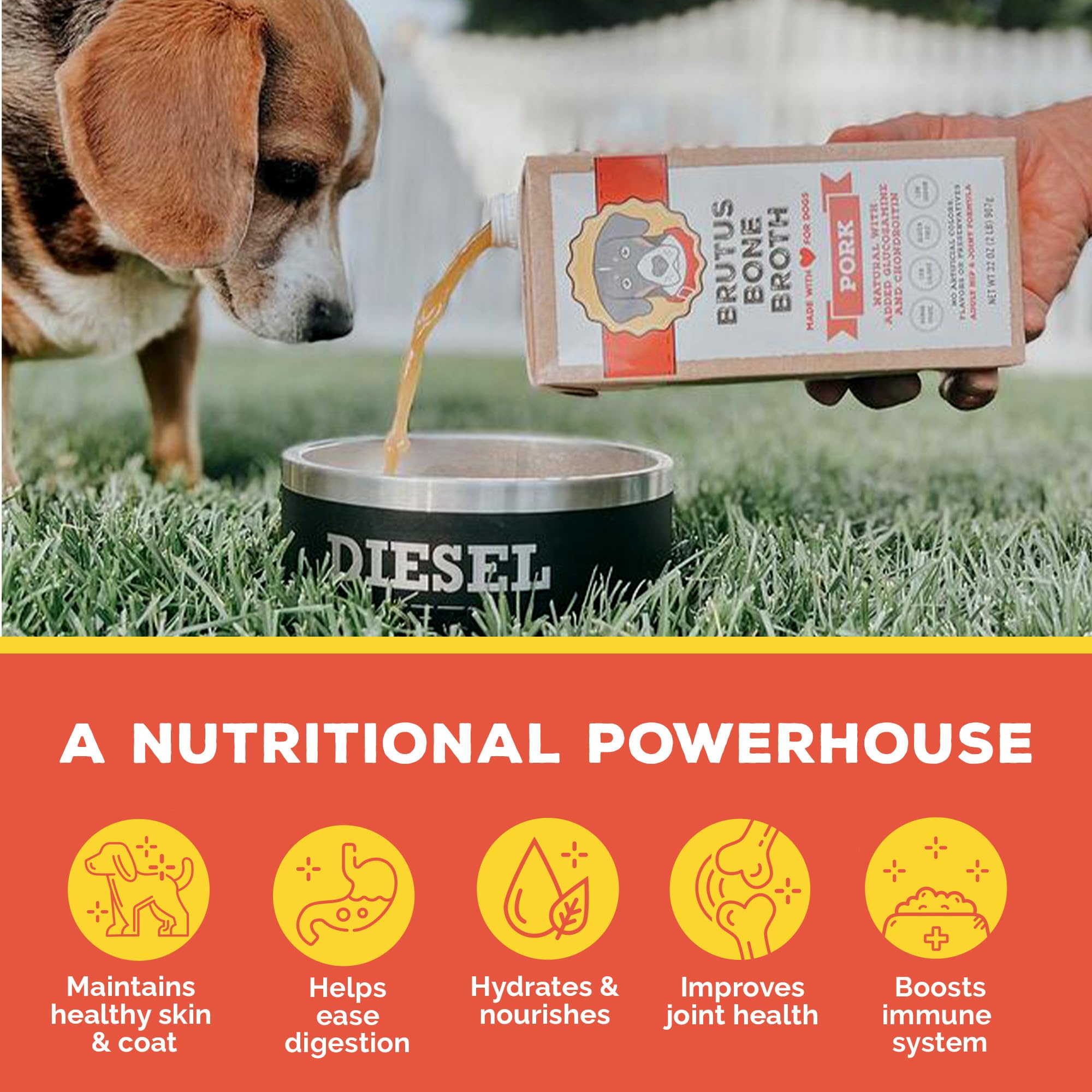 Brutus Bone Broth liquide saveur porc hydratant pour croquettes.