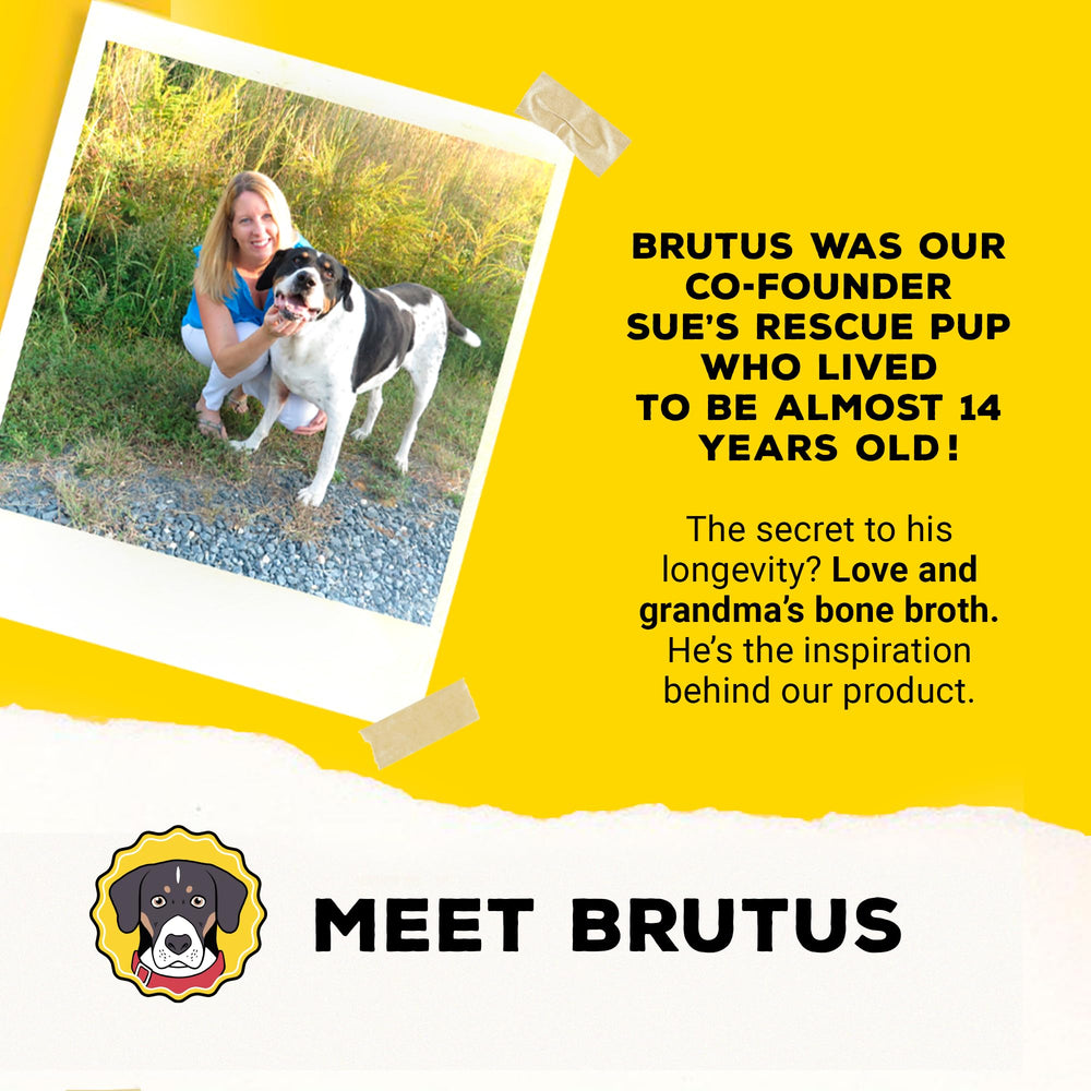 Brutus Bouillon Os de Boeuf pour Chiens — fabrication et conditionnement aux États‑Unis.