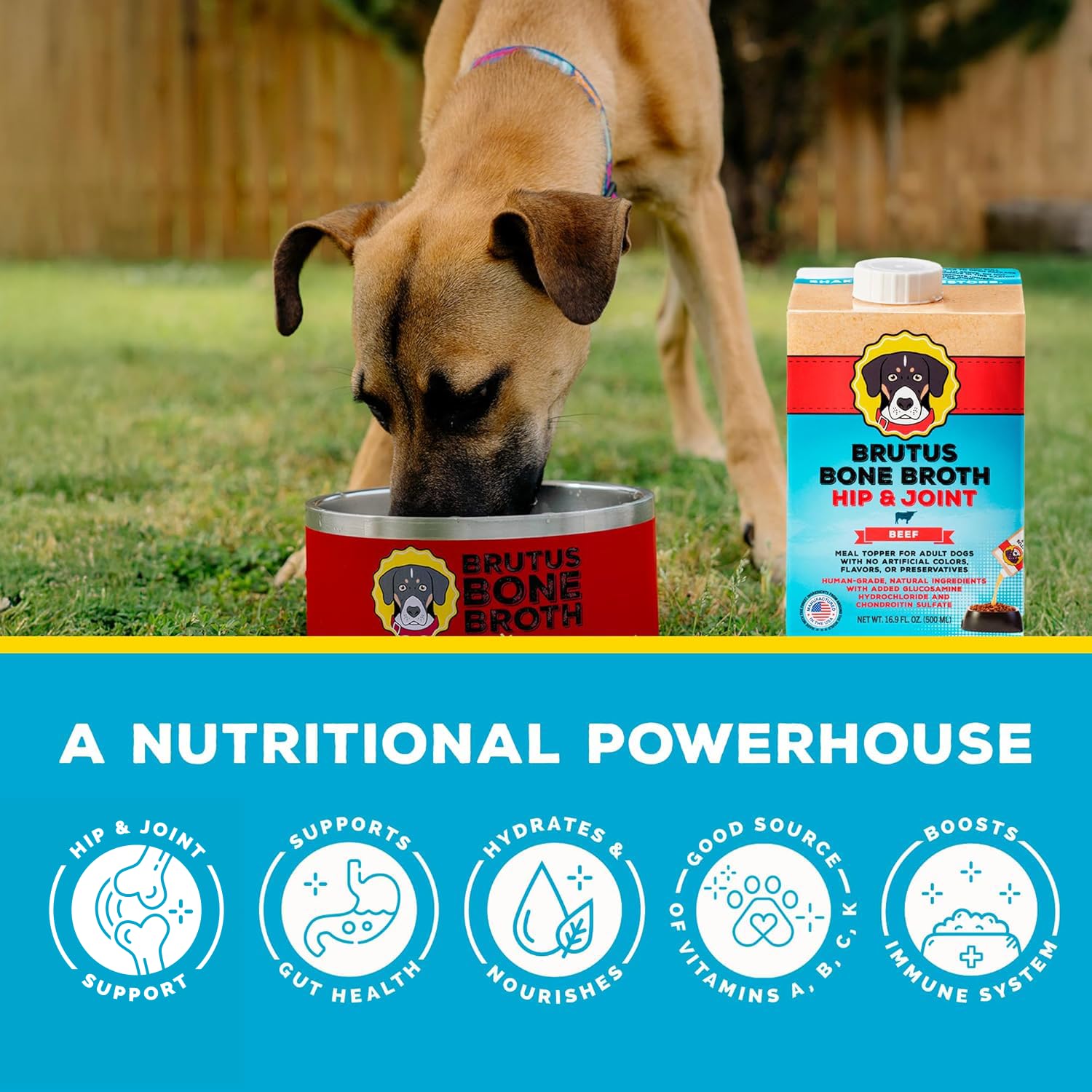 Brutus Bouillon Os de Boeuf pour Chiens — versement simplifié sur croquettes, pratique pour les repas.