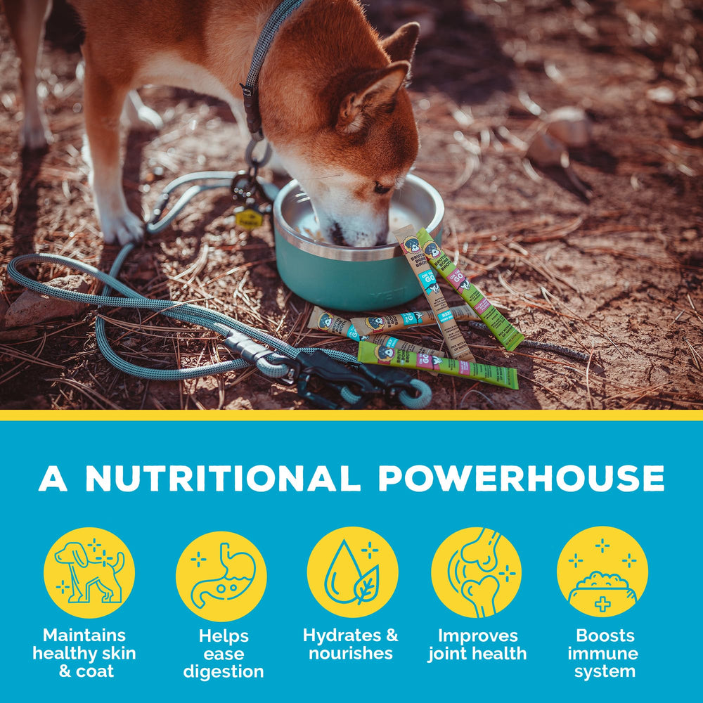 Brutus Bouillon d’Os – poudre-boeuf pour chien, soutien des articulations grâce à la glucosamine.